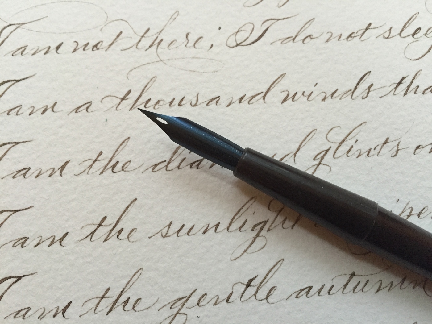Calligraphy Arts